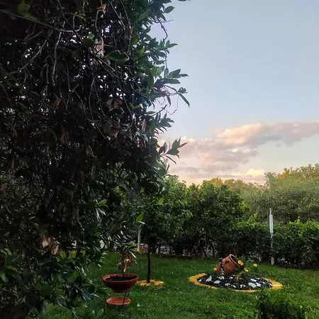 Attic Paradise * Φλογητά