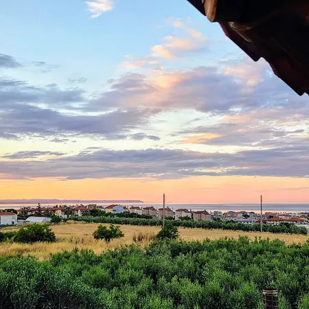 Attic Paradise فيلة *